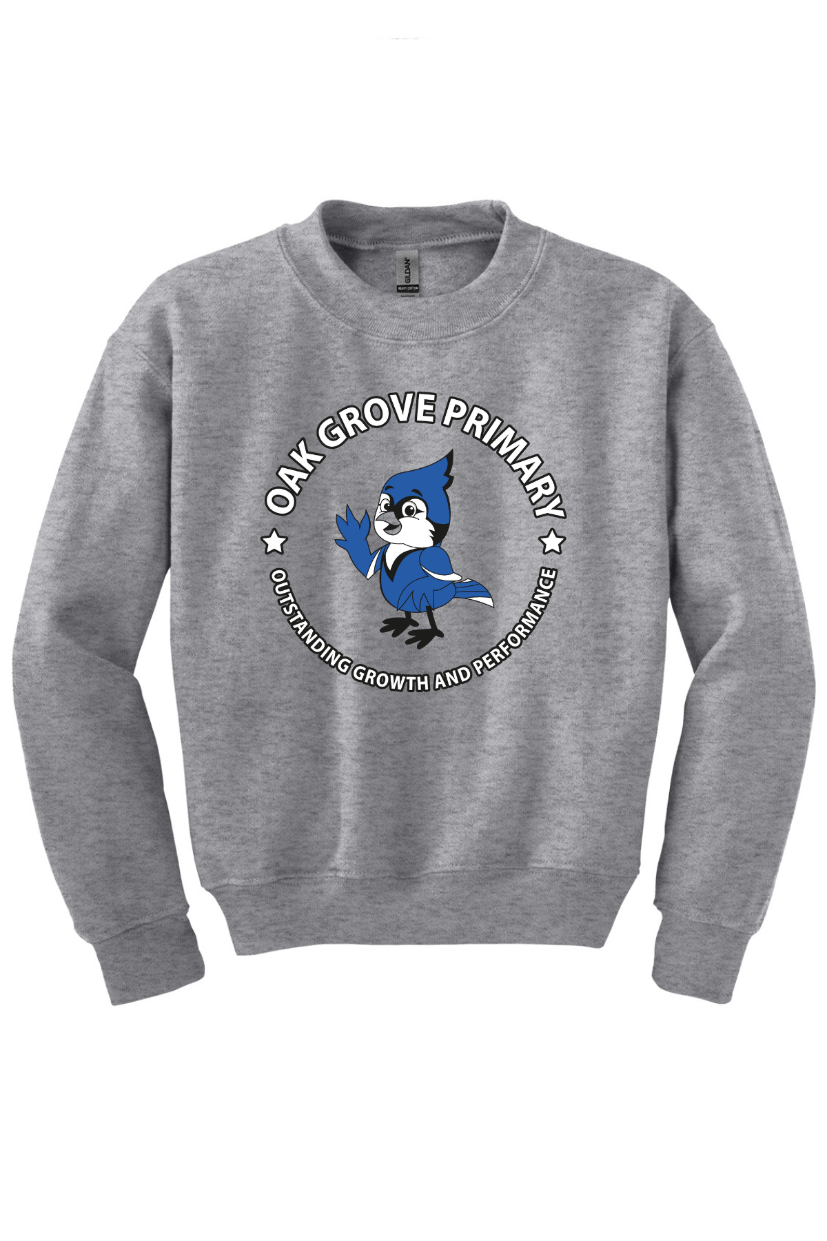 Sport Grey Youth Crewneck Sweatshirt