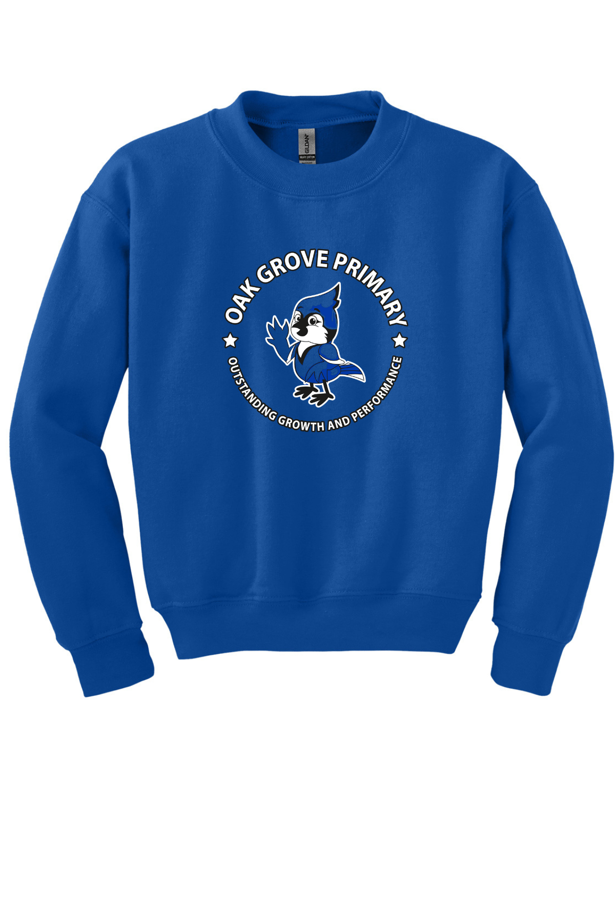 Royal Blue Youth Crewneck Sweatshirt