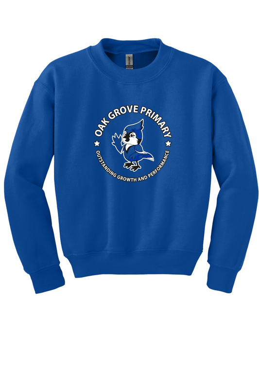 Royal Blue Youth Crewneck Sweatshirt